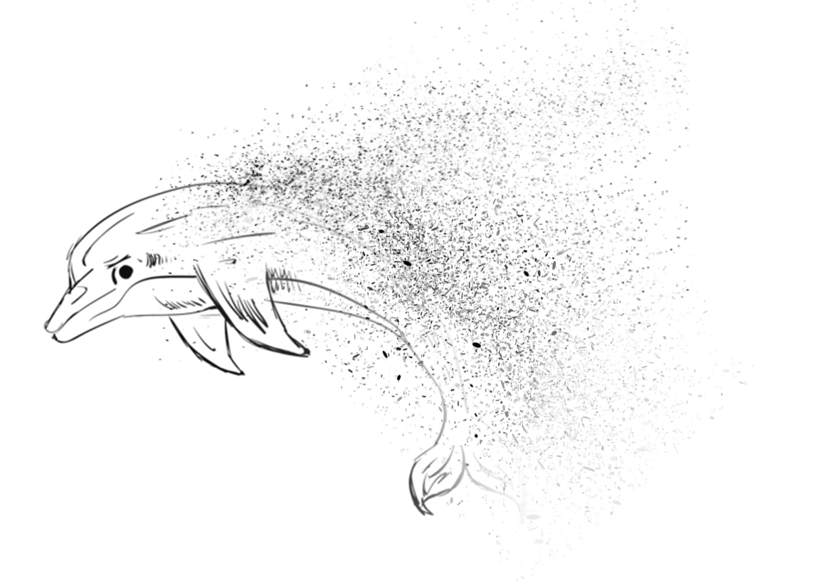 dolphin fading