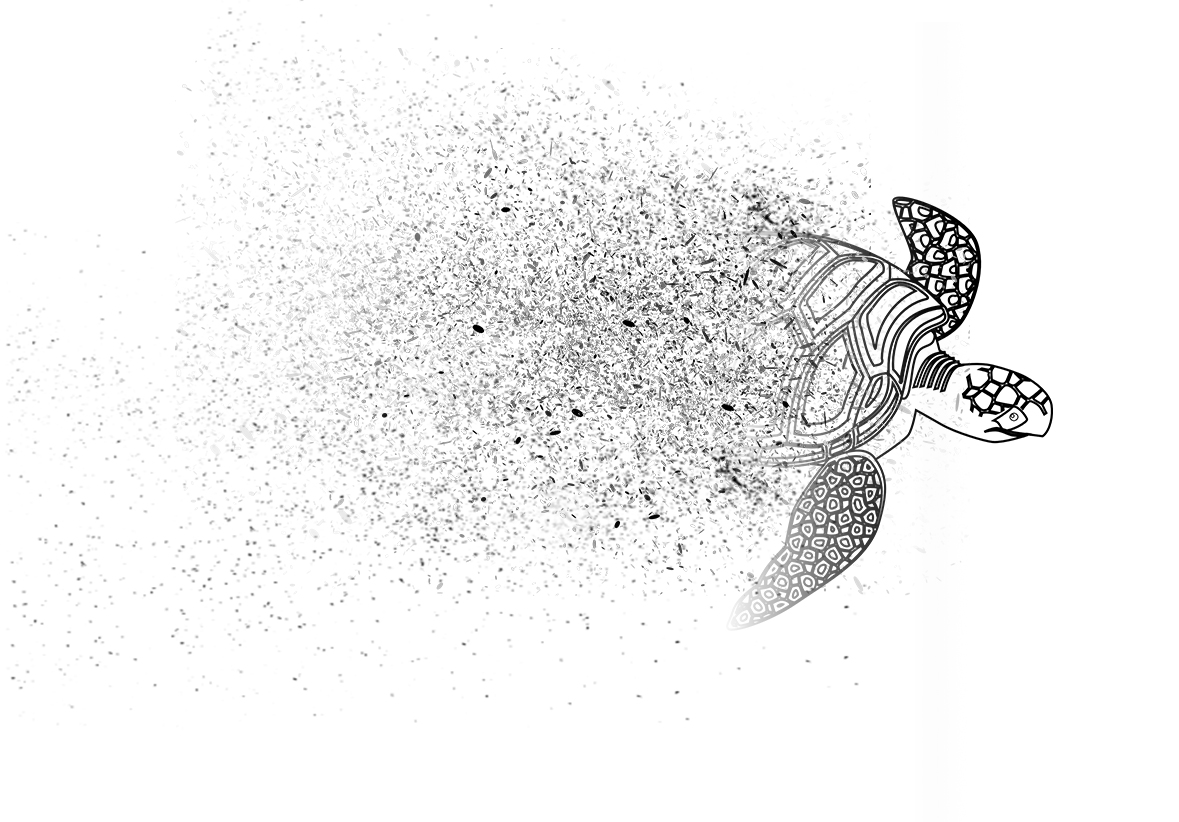 turtle fading